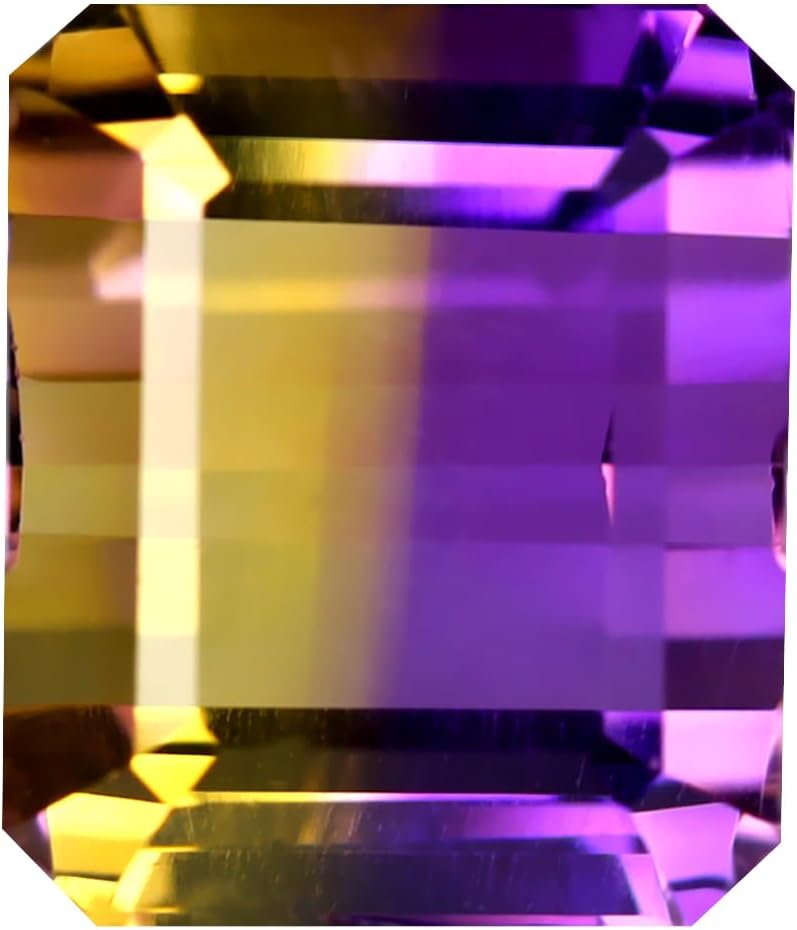 掛け軸 鈴木秀光 『 藤 』 紙本 希少 軸装 茶道具 掛軸 美品 です